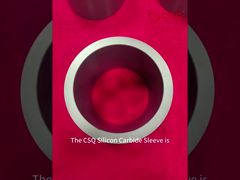 Bạc lót trượt SSIC